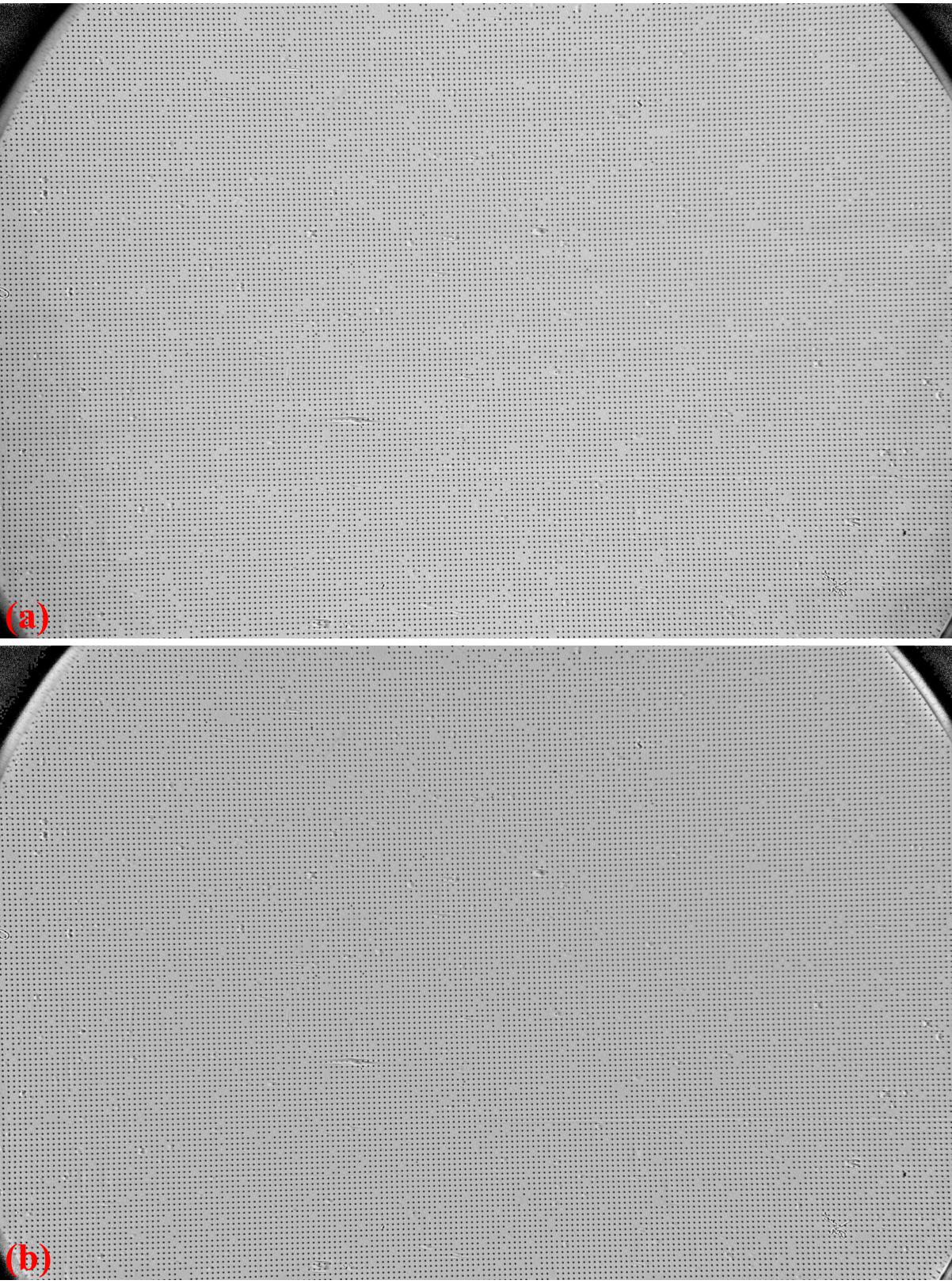 ../_images/fig111.jpg